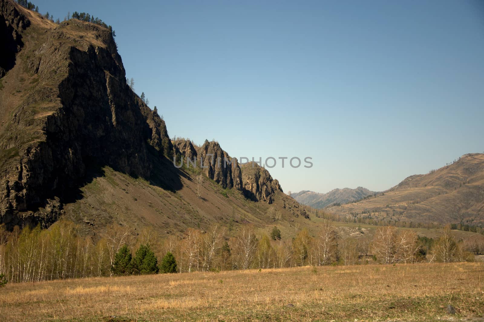 High picturesque hills of the Altai Mountains, covered with coniferous forest. Altai, Siberia, Russia.