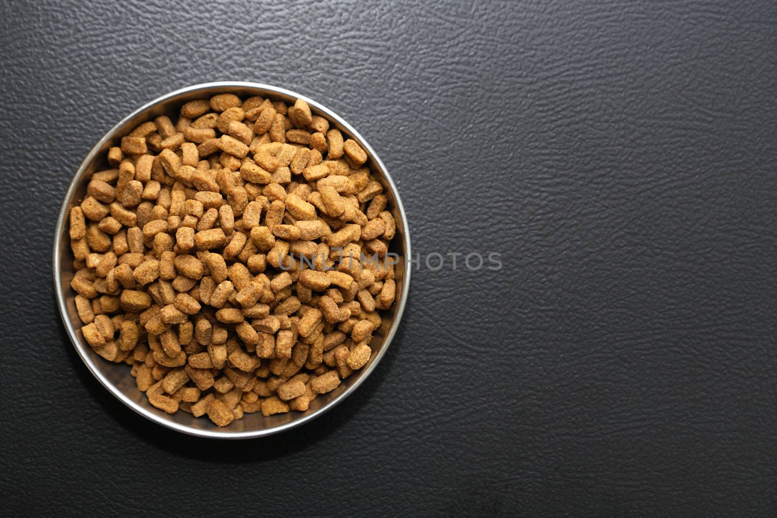 Bowl with dry food for domestic animals on black ceramic floor