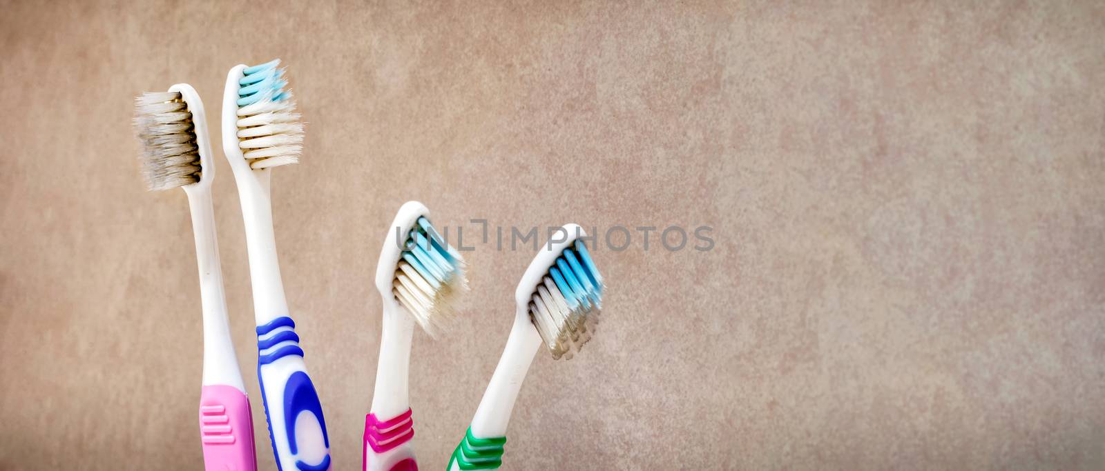 Dirty Disgusting Molding Toothbrushes in the Bathroom