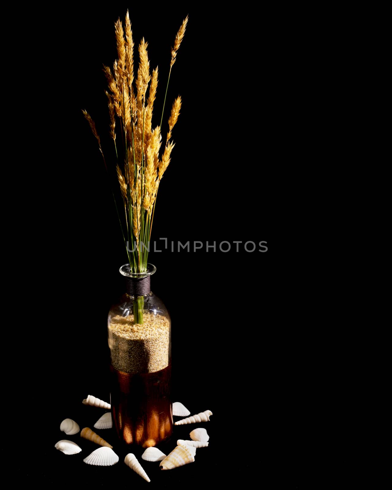 Wild Grasses in Red Bottle by CharlieFloyd