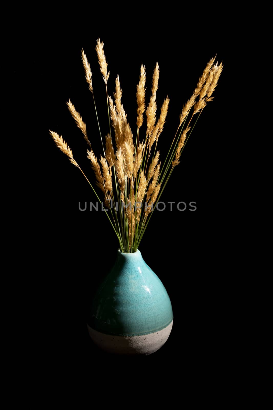 Wild grasses with golden seed heads in a teal blue ceramic vase against a black background.