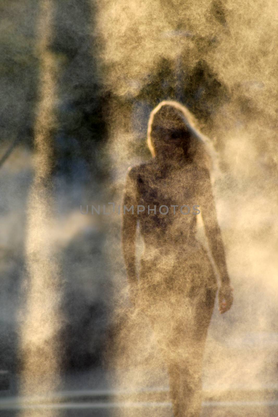 mysterious silhouette of a beautiful girl on a smoky background.