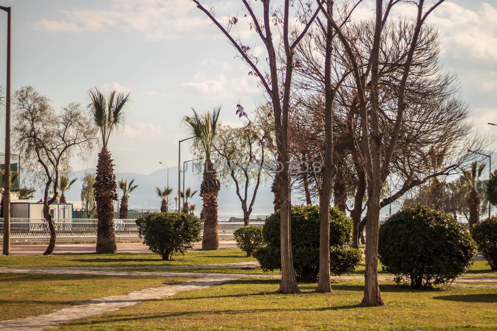 a good looking landscape shoot from a green park. photo has taken at izmir/turkey.