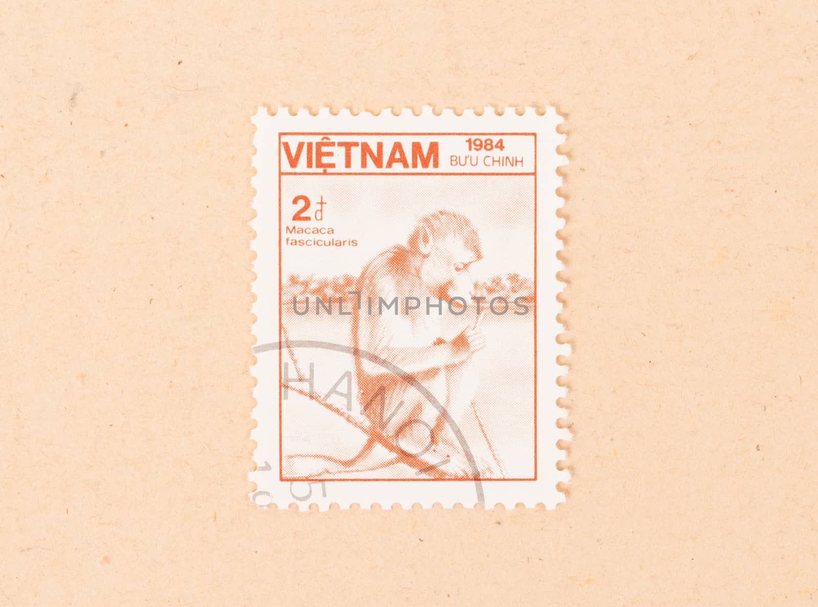 VIETNAM - CIRCA 1984: A stamp printed in Vietnam shows a monkey, by michaklootwijk