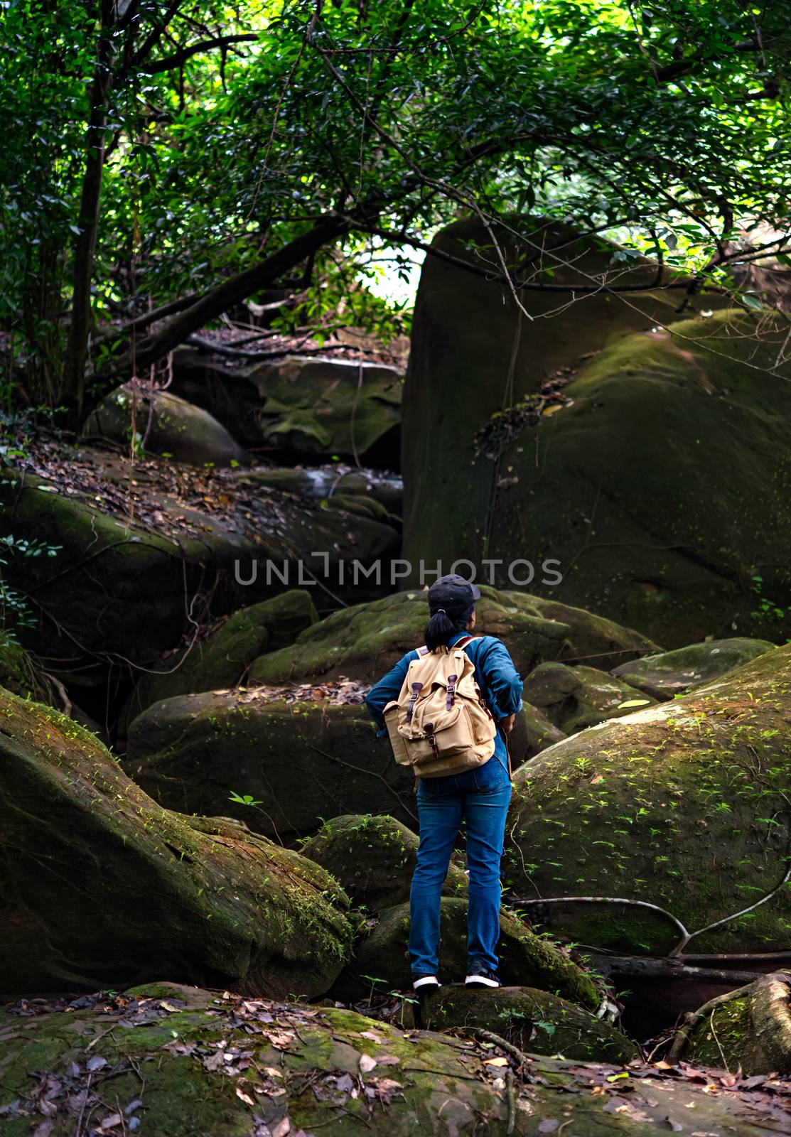 back view photo of girl backpacker travel in rainforest