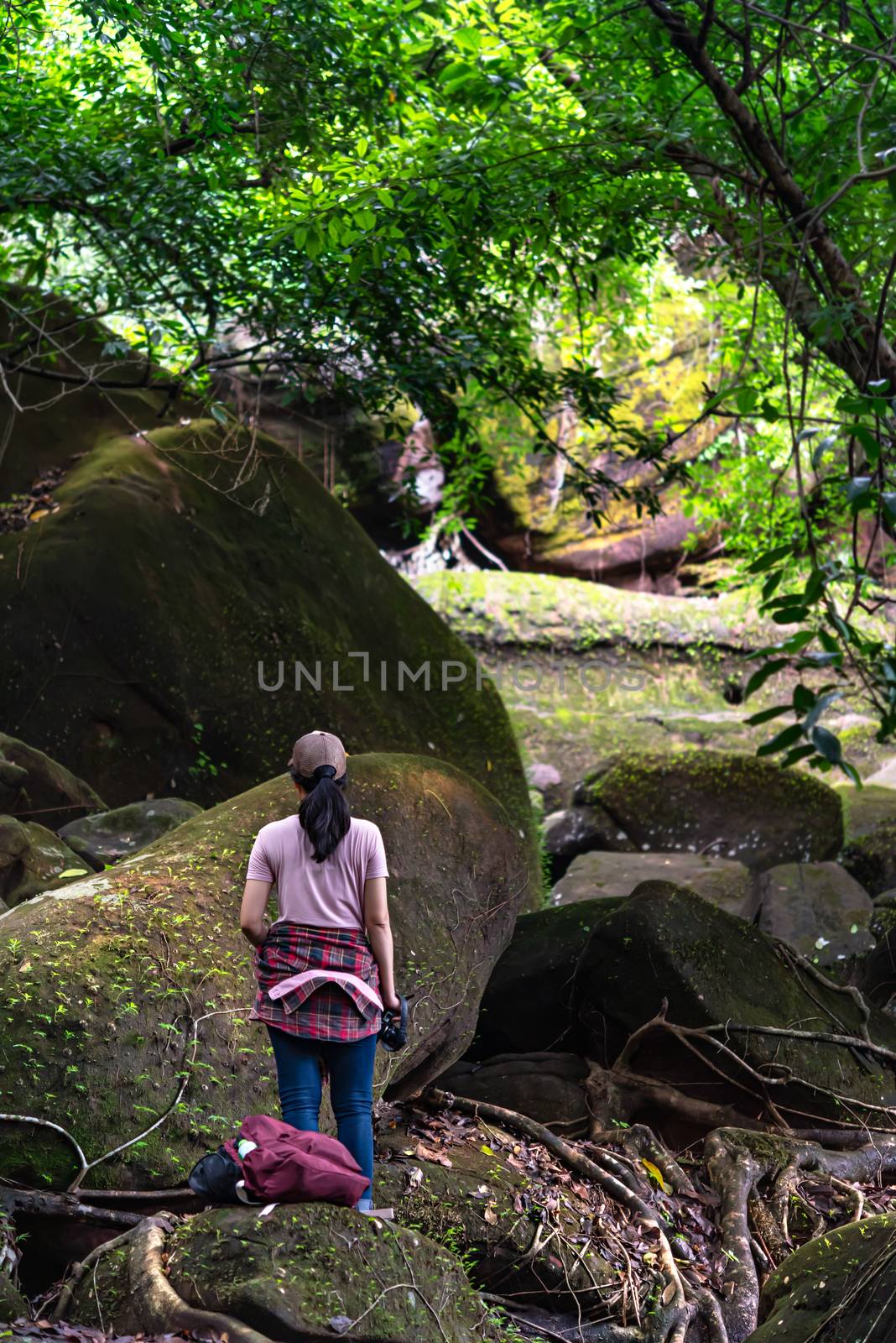 back view photo of girl backpacker travel in rainforest