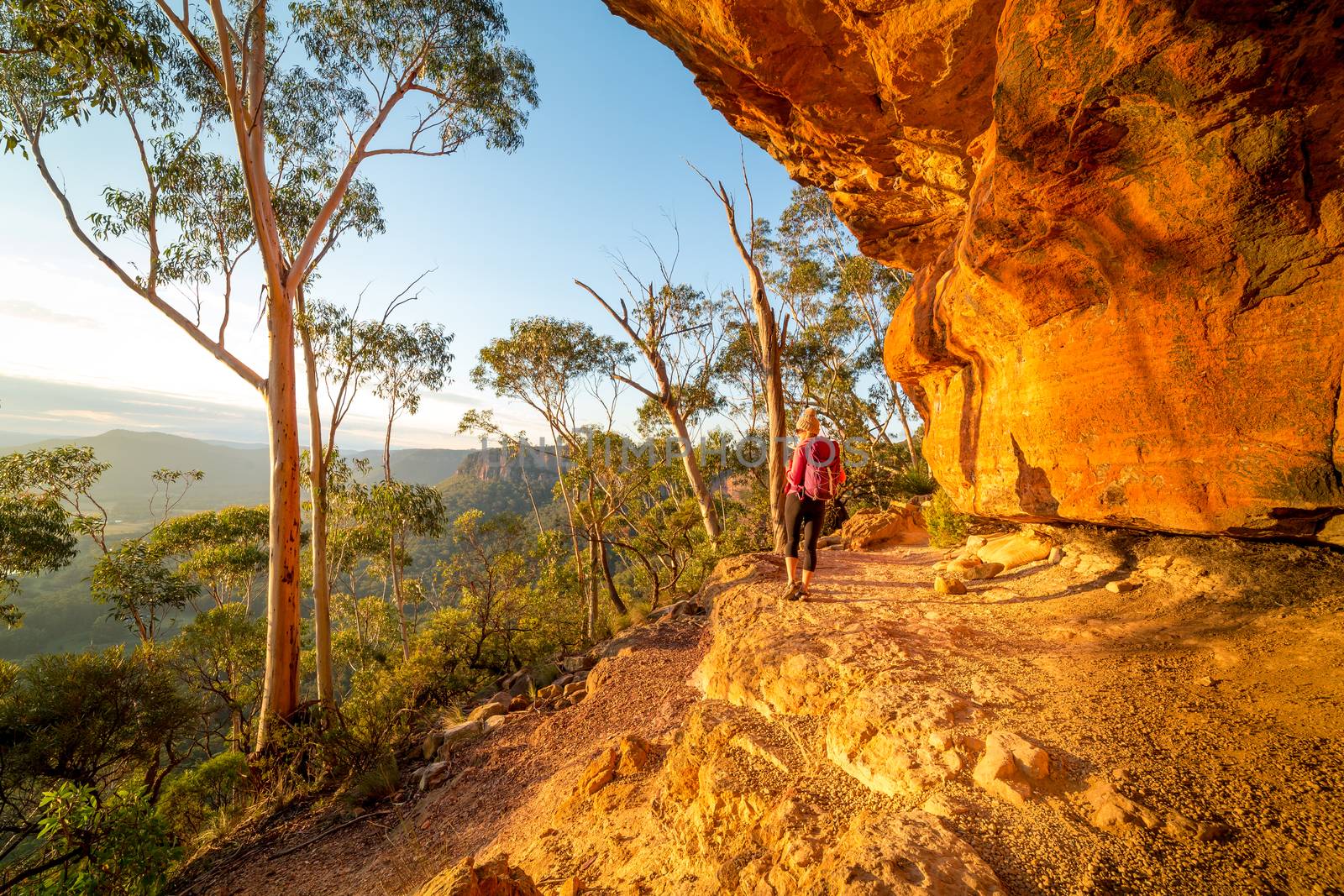 Afternoon sunlight on the sandstone cliffs and a hiker treks through the upper Blue Mountains admiring the views
