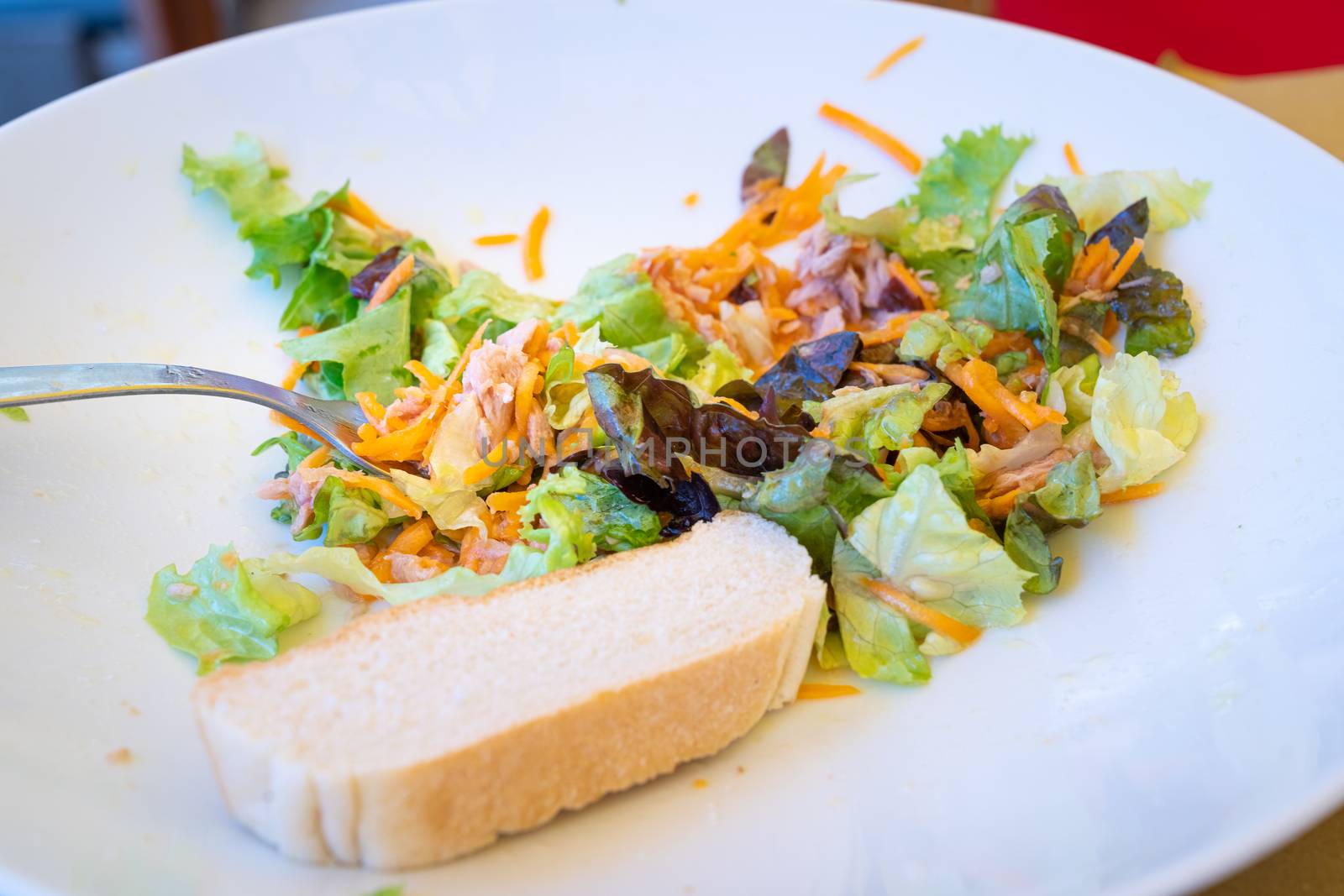 Tune and salad plate with bread by Robertobinetti70