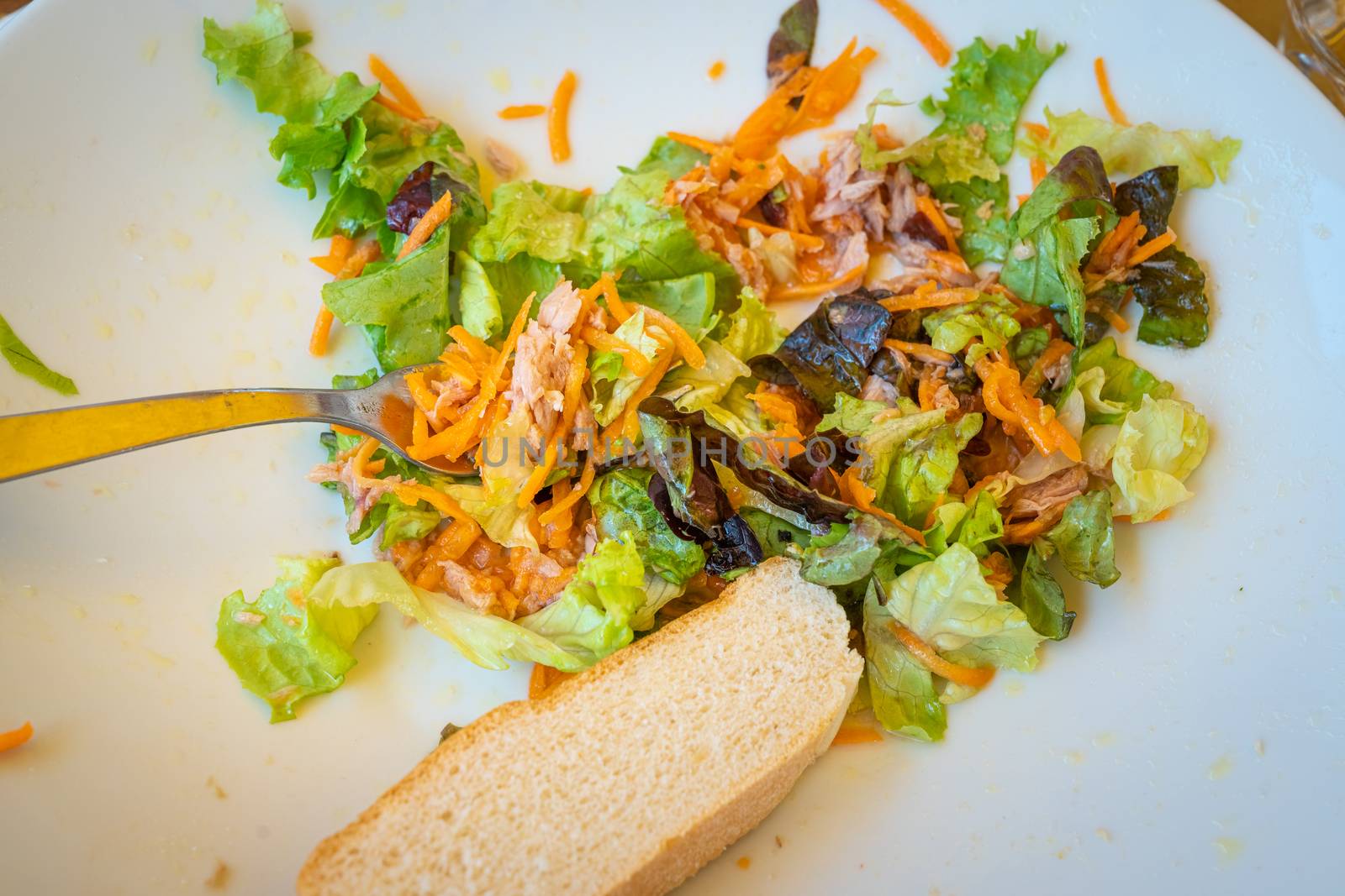 Mixed salad plate with tuna and slice of bread, served at the table with white plate and fork, natural light.