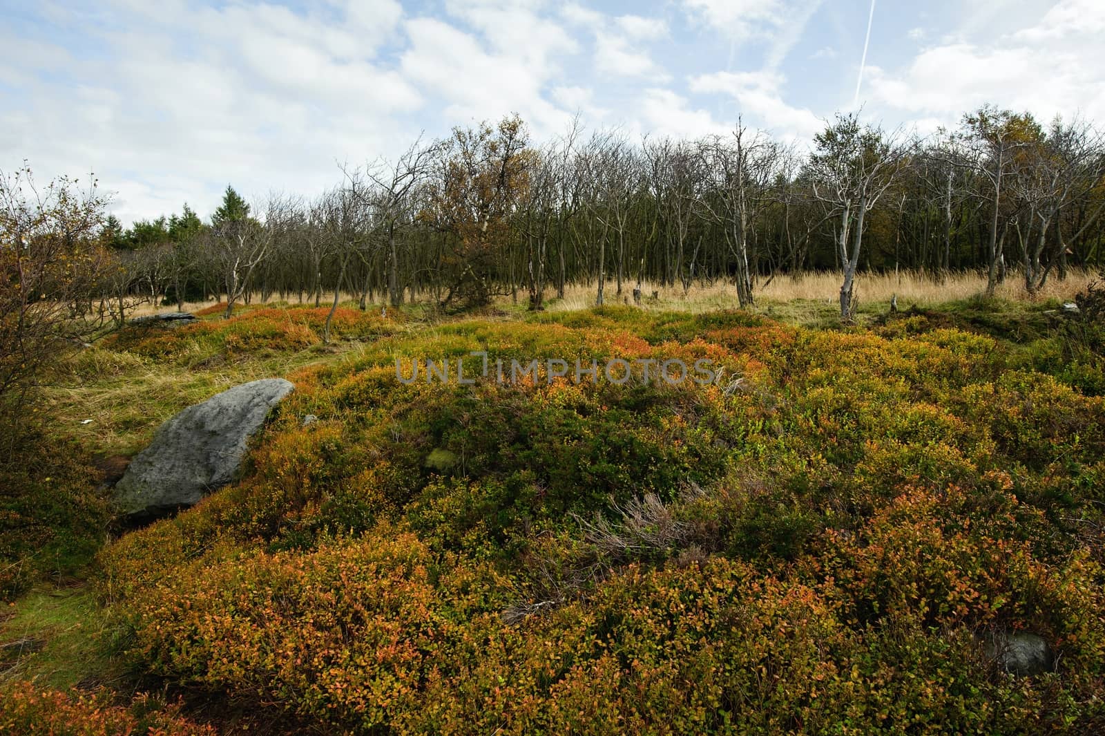 Autumn landscape - rocks, forests - all beautifully colored