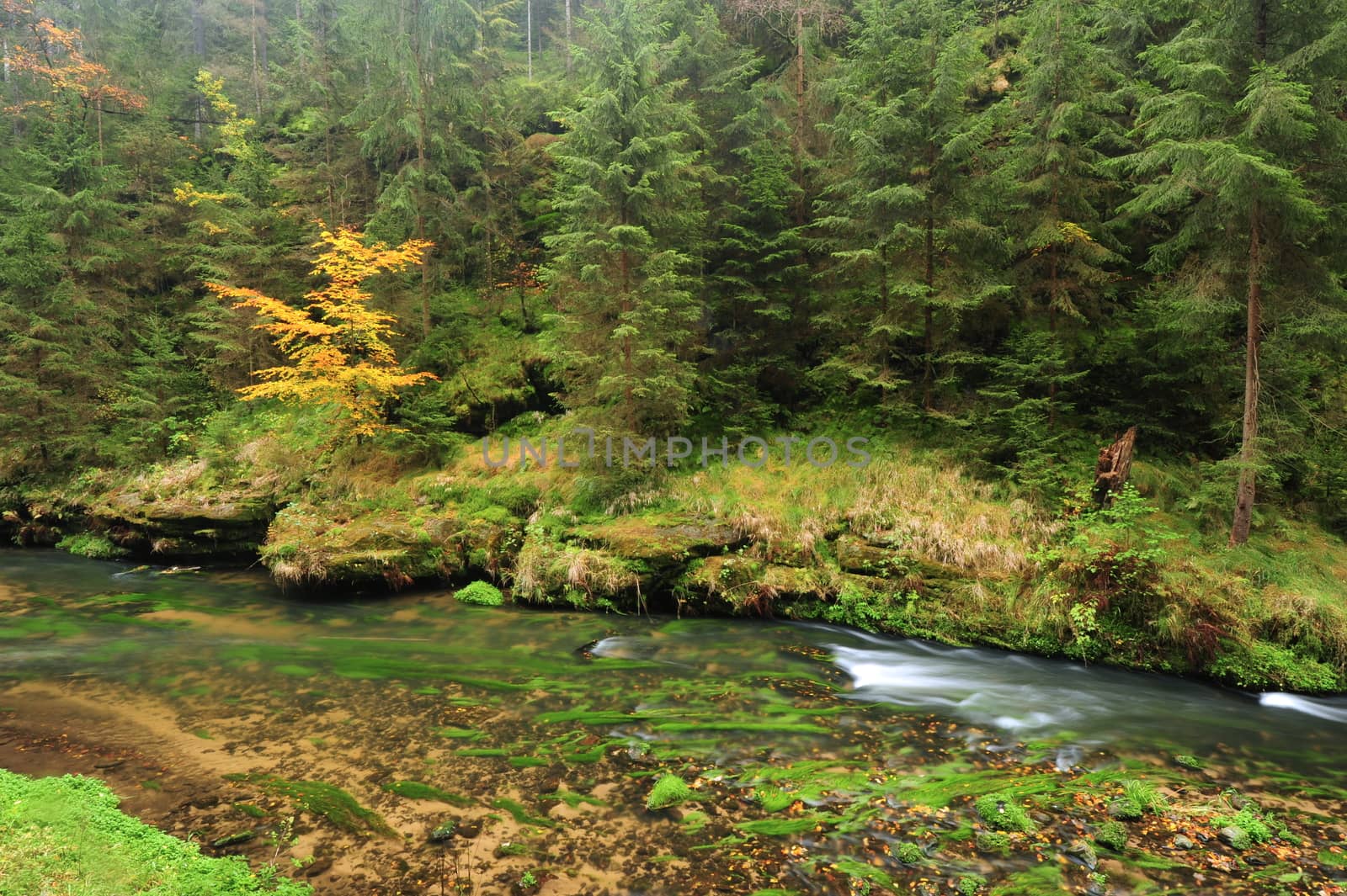 Autumn colored trees, leaves, rocks around the beautiful river