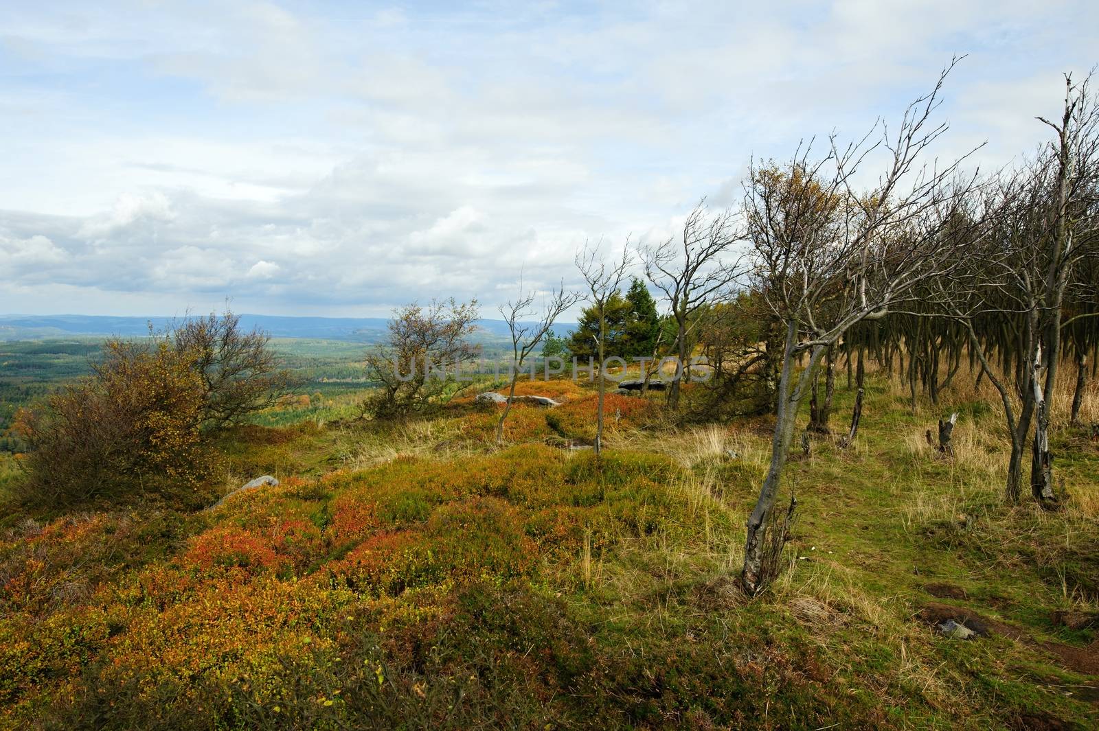 Autumn colorful landscape with forests, hills, sun and sky