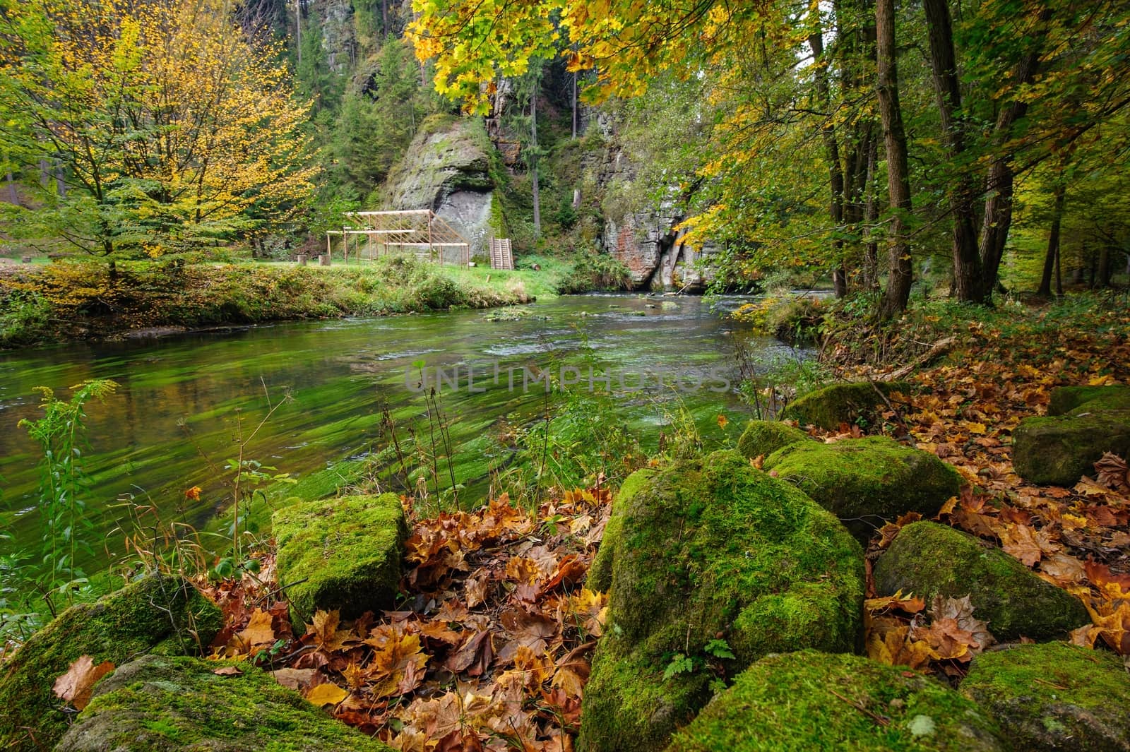 A beautifully clean river flowing through a colorful autumn forest