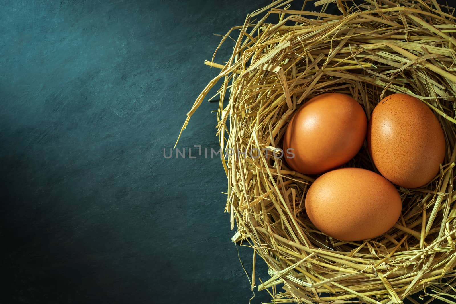 The eggs in the nest made of rice straw and morning sunlight. Concept of organic farm and food for health. Top view and copy space for text.