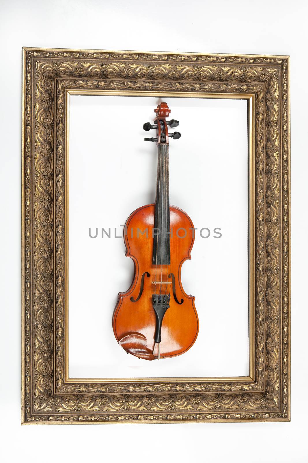 Violin and golden frame on an isolated studio backgound