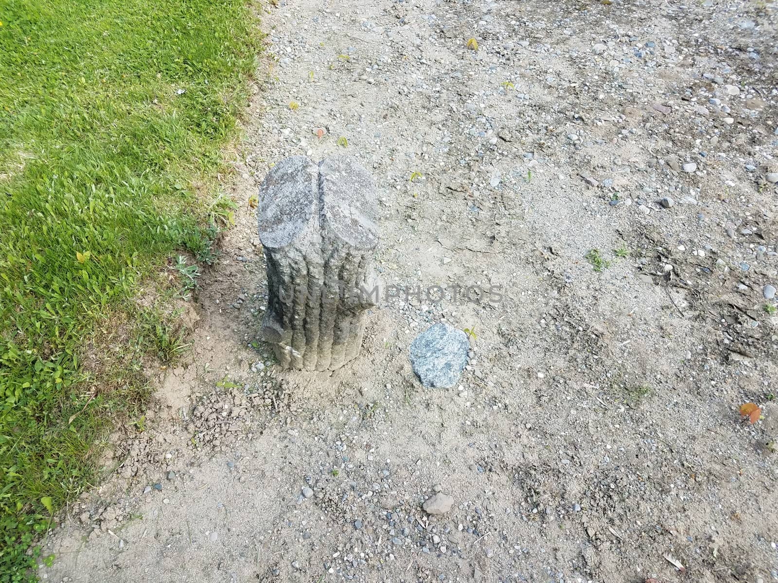 tree stump cement grave markers in cemetery with path or trail
