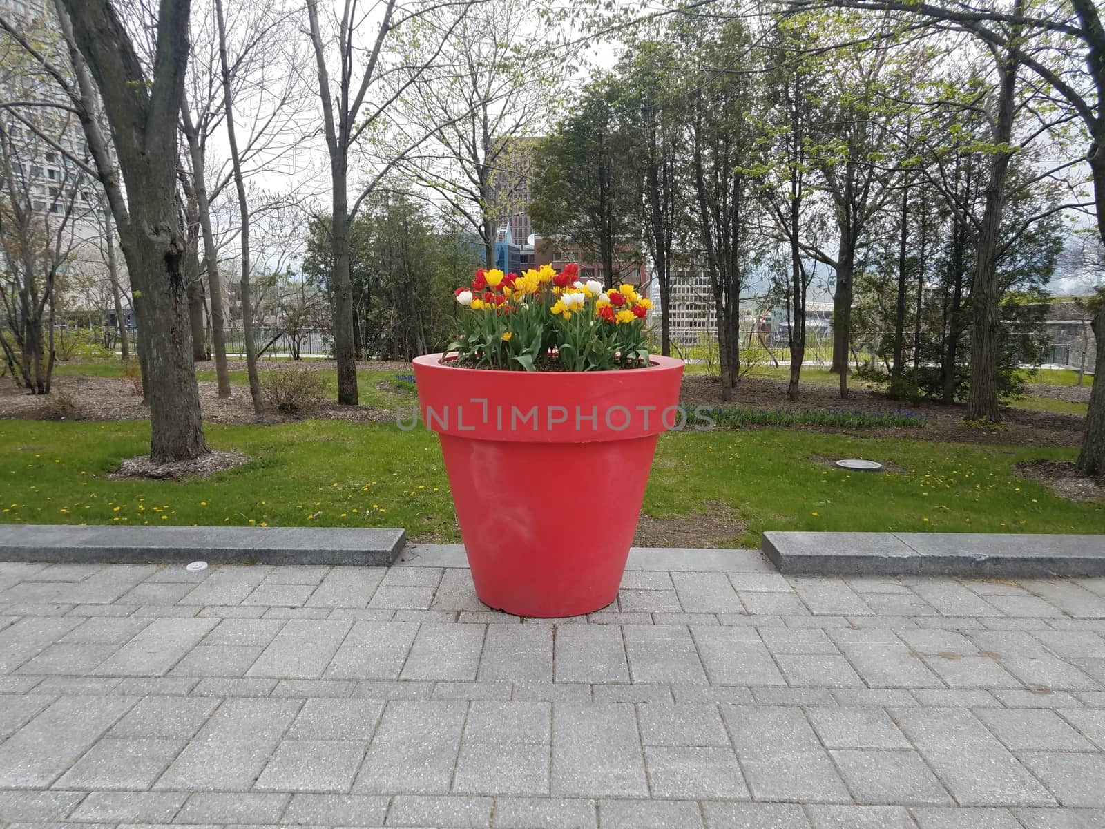 large red flower pot with red, yellow, and white flowers blooming in Quebec, Canada