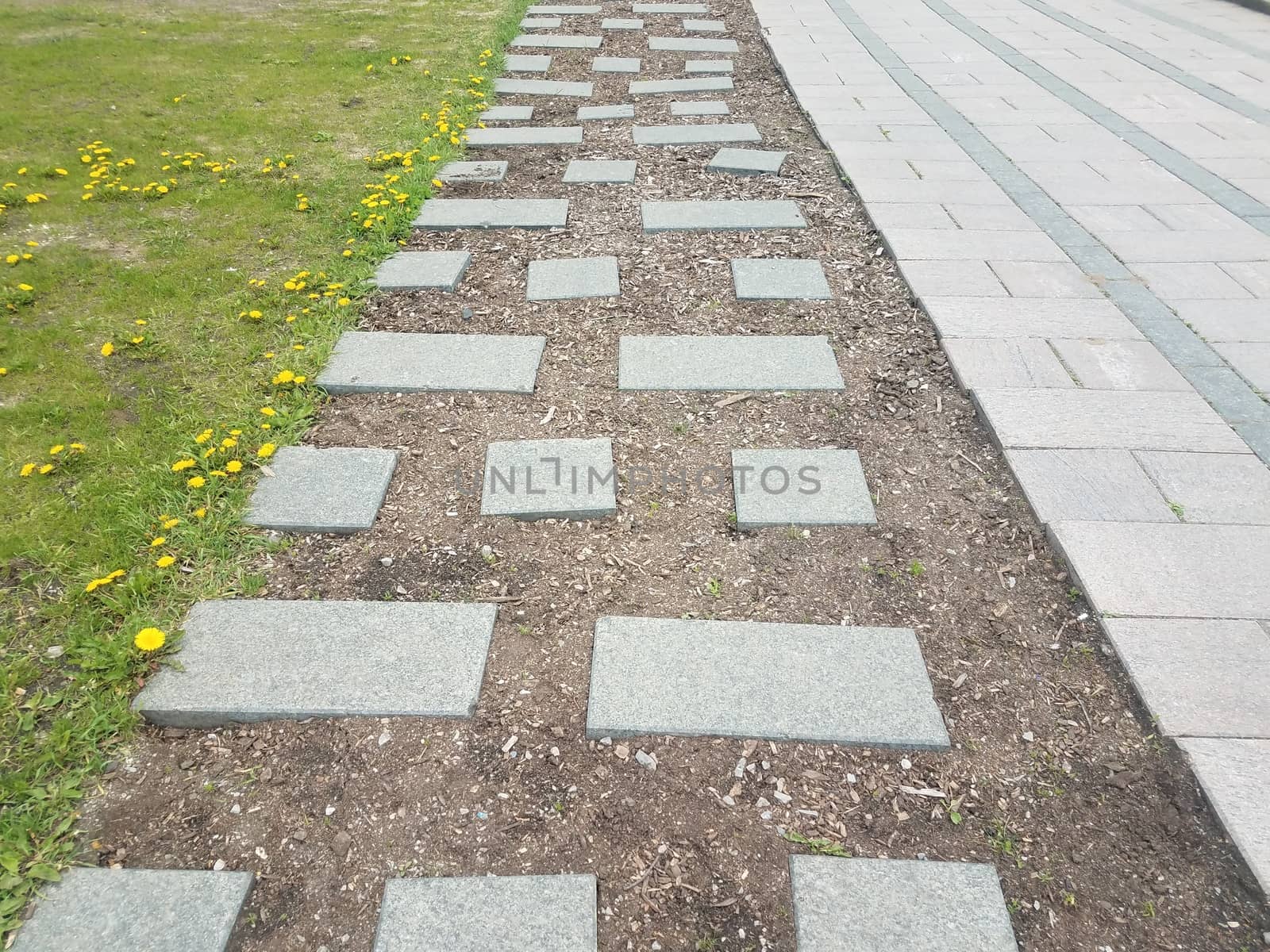 rectangle and square stepping stones and green grass and dandelions