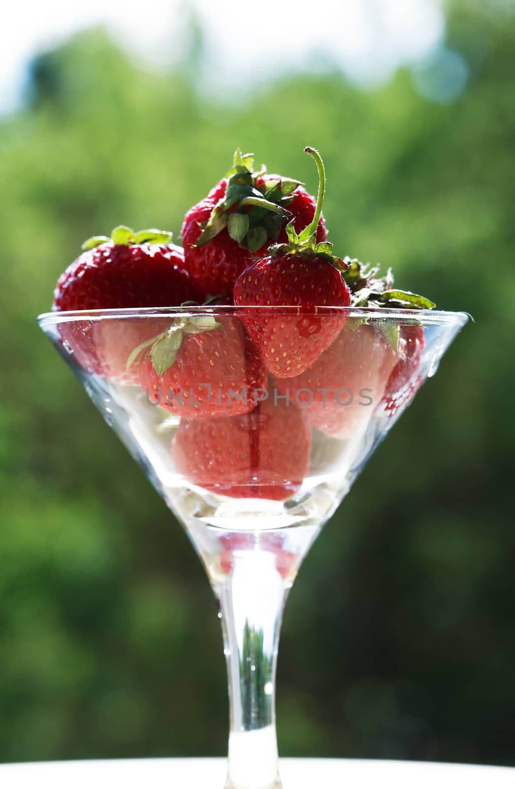 Few strawberry fruits in nice glass bowl against green plants