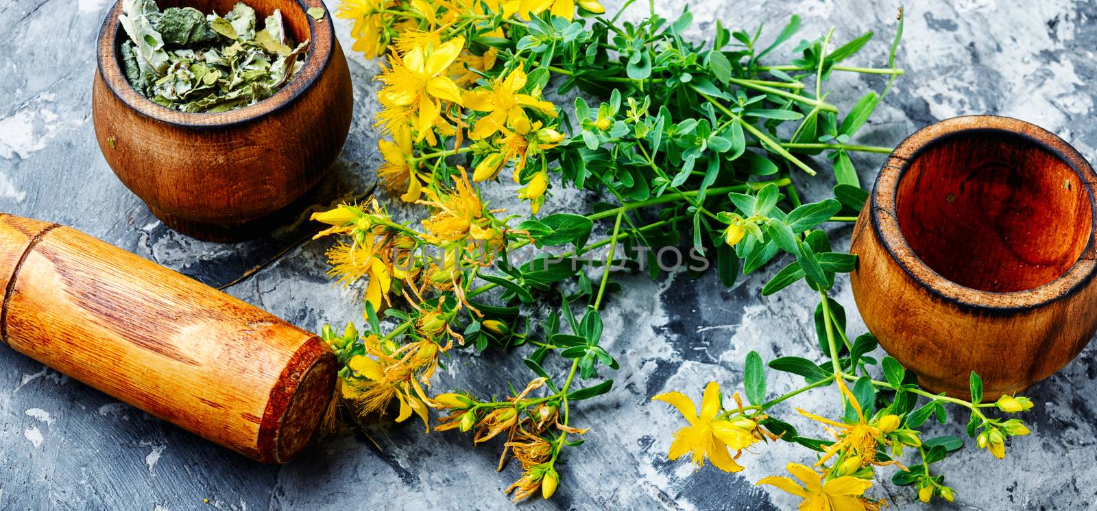 Herbal medicine.Medicinal herbs.Natural herbs medicine.Bunch of hypericum