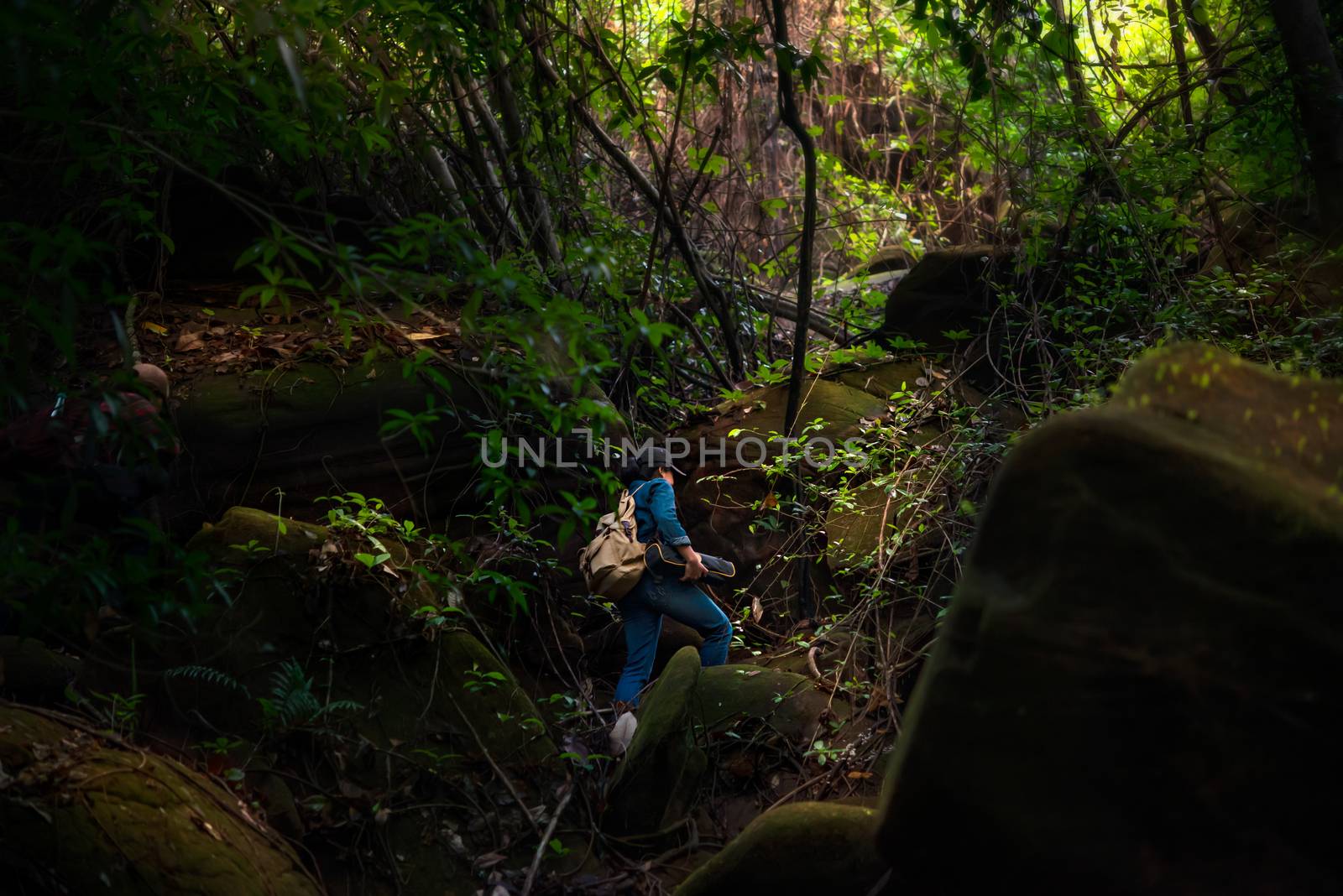 back view photo of girl backpacker travel in rainforest