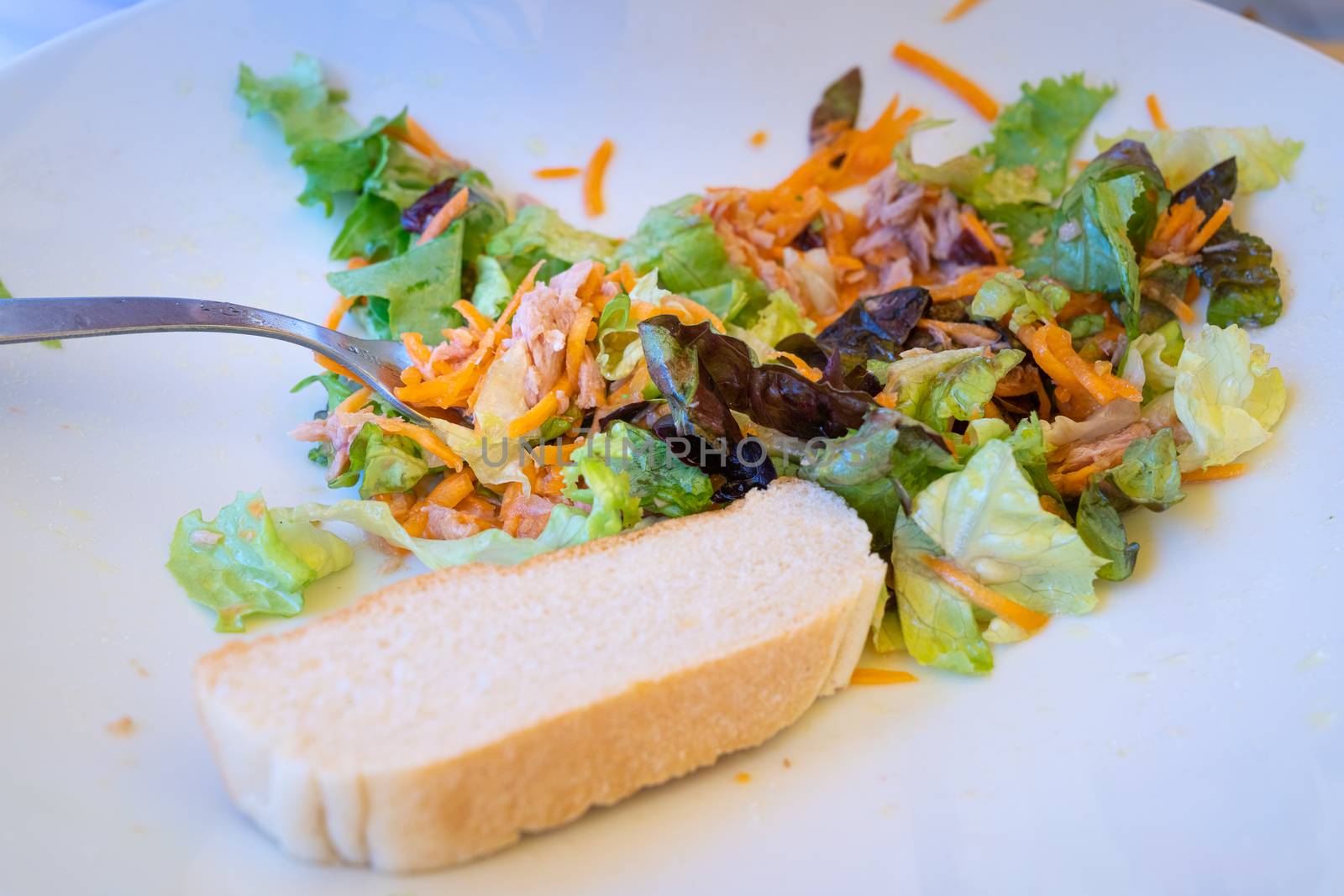 Mixed salad plate with tuna and slice of bread, served at the table with white plate and fork, natural light.