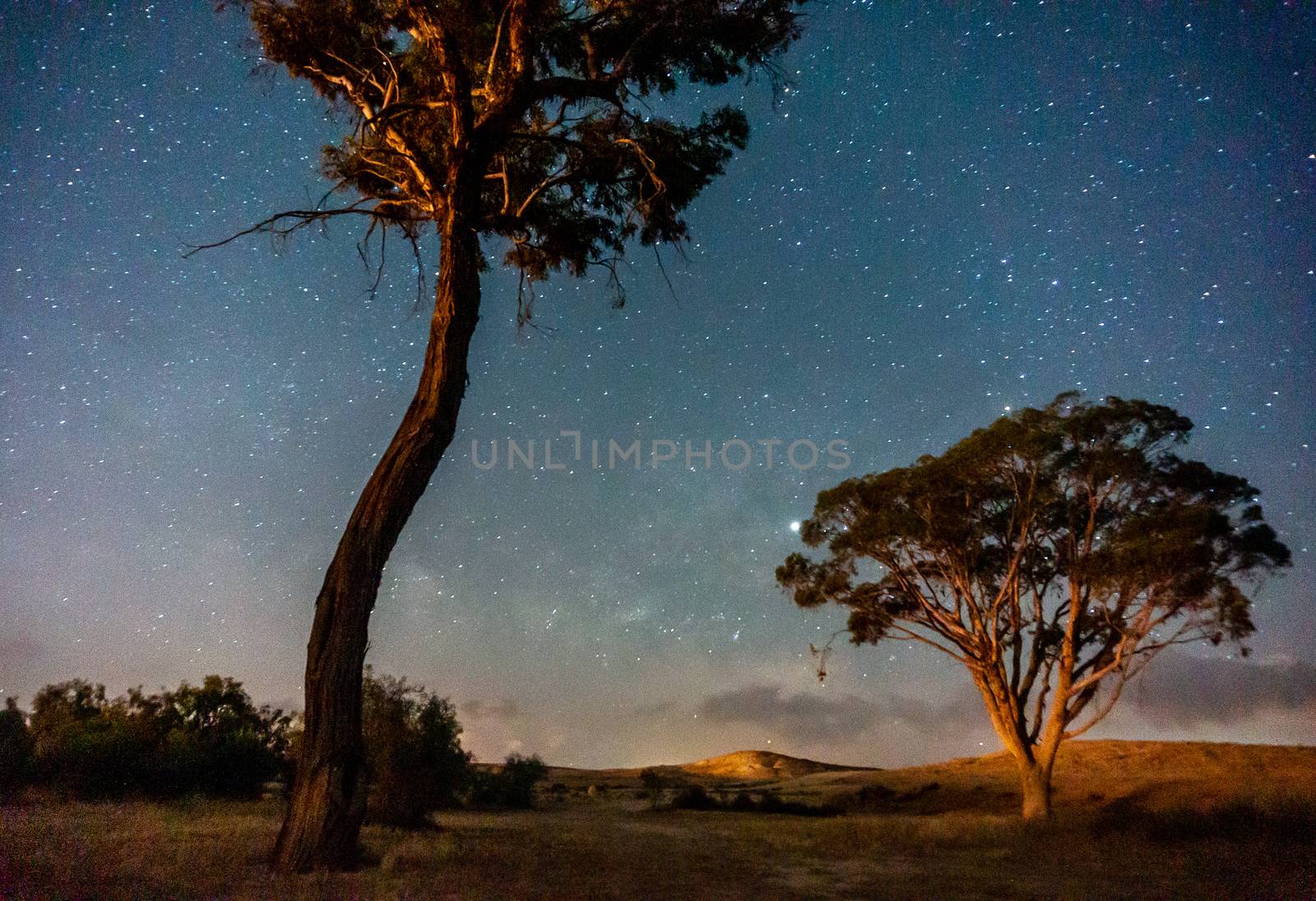 Romantic landscape under stars night sky