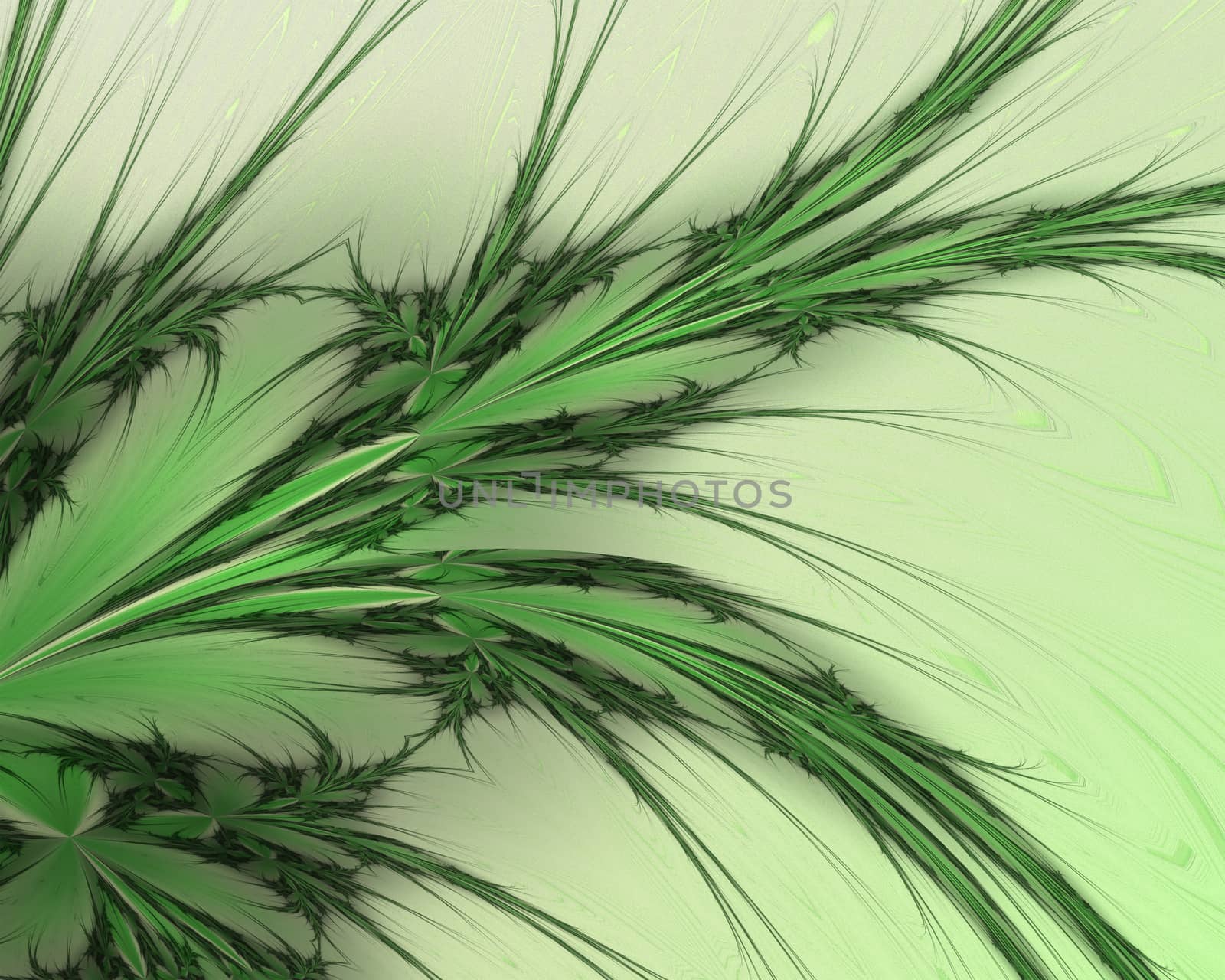 Green abstract branches on a white background by ankarb