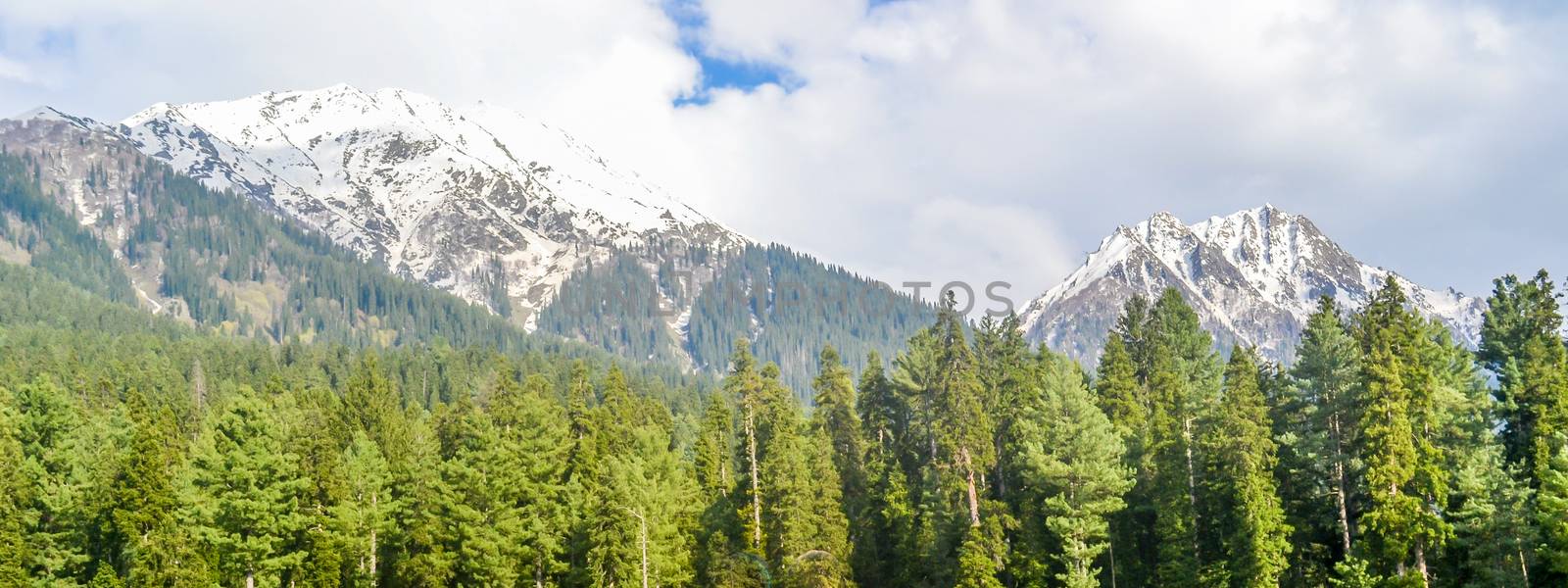 Stunning photograph of Kashmir valley (Paradise on Earth). Beautiful view of Betaab Valley surrounded by snow frozen Himalayas glacier mountains and green fir and pine tree line forest landscape.