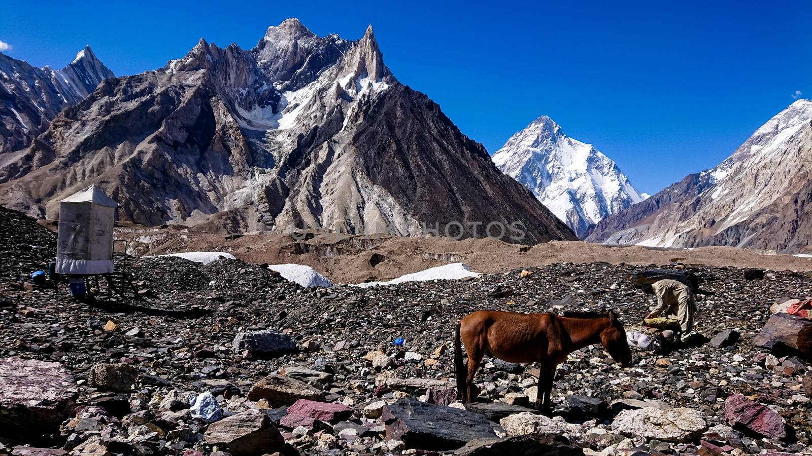 donkeys walk pass the colorful camping tents on the way to K2 base camp with karakorum range in background by Volcanic