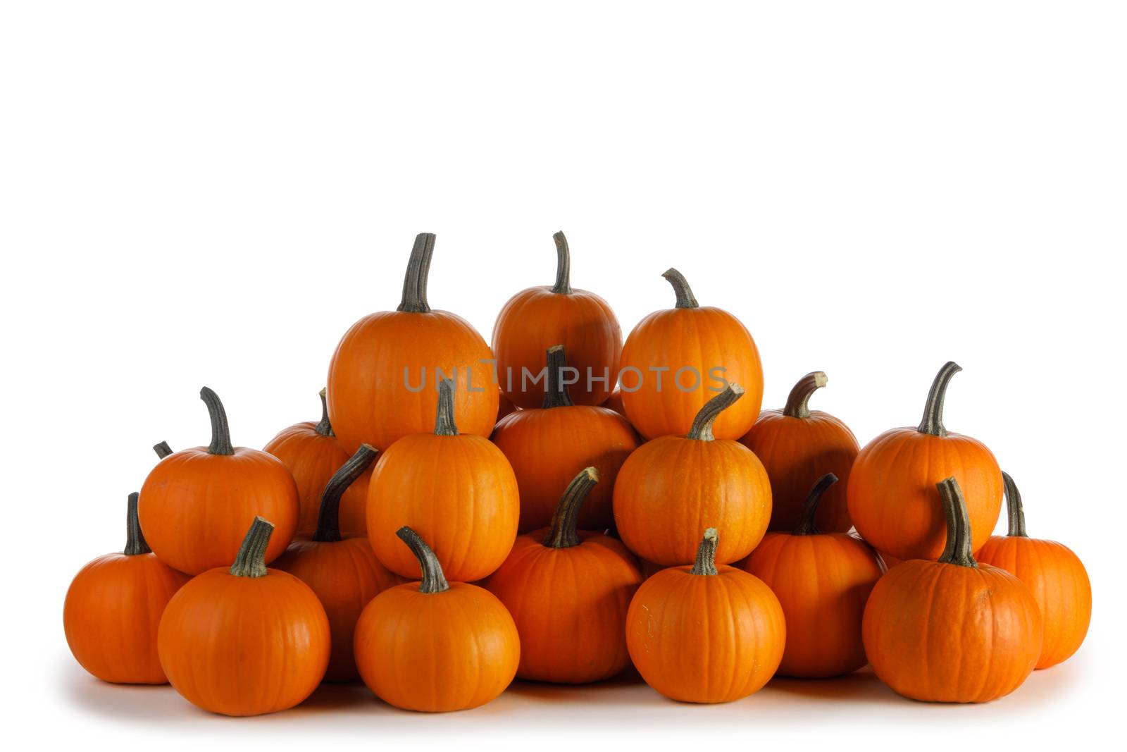 Heap of many orange pumpkins isolated on white background , Halloween concept