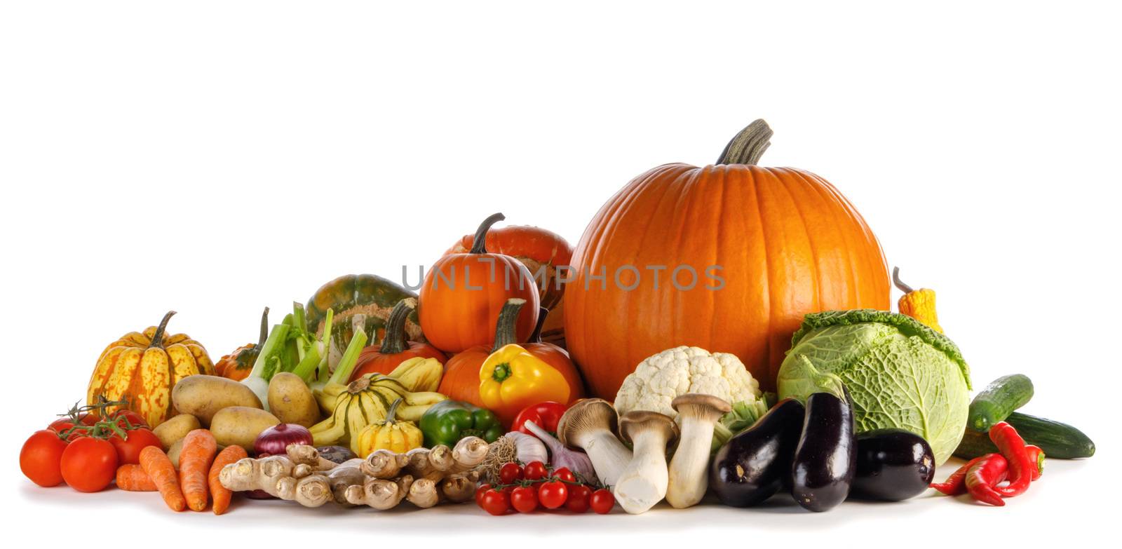 Group of harvest autumn vegetables isolated on white background