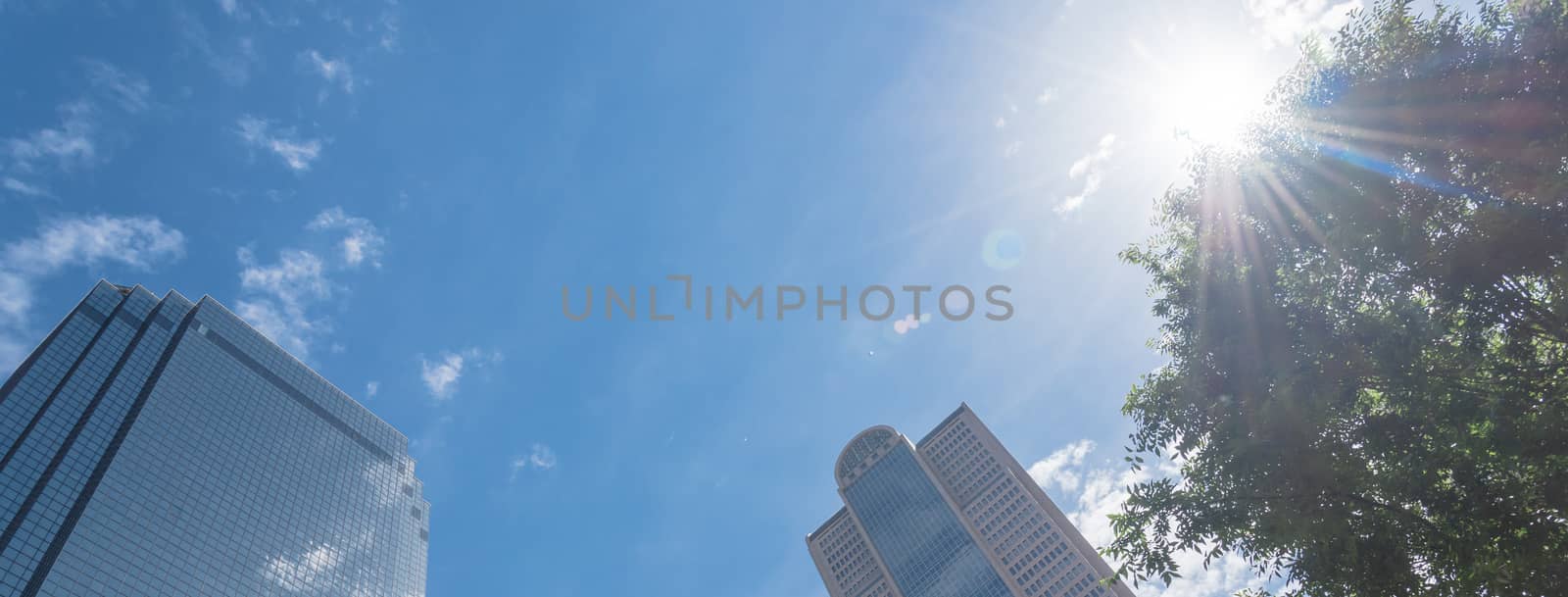 Panorama lookup view of skylines and tall trees in downtown Dallas, Texas, America. Sunny day with cloud blue sky