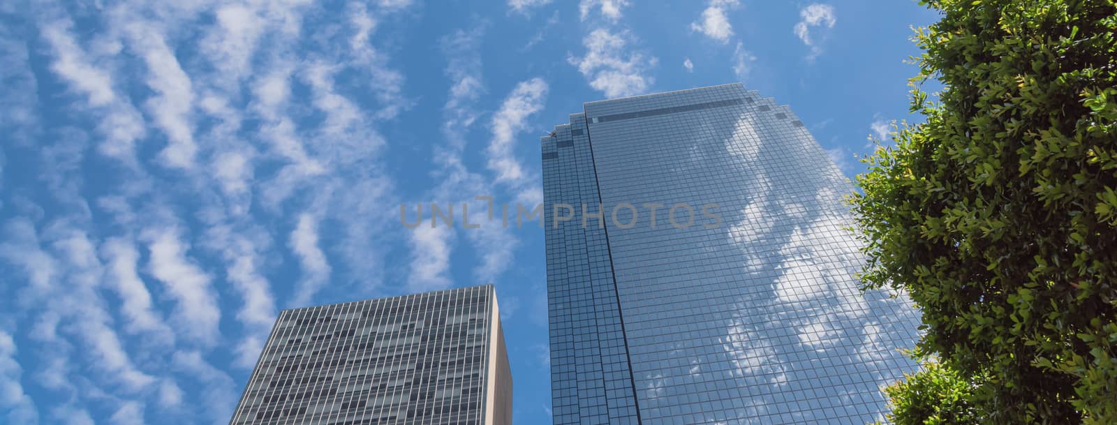 Panoramic low angle view of skyscrapers with trees under sunny cloud sky by trongnguyen