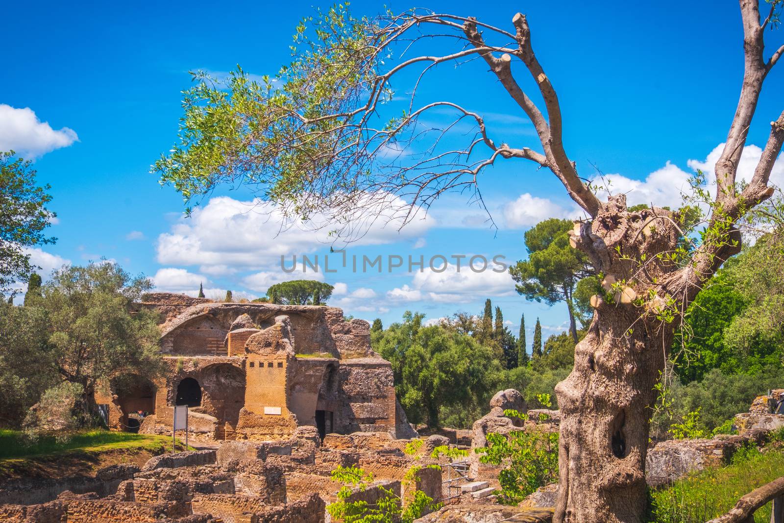 Tivoli - Villa Adriana in Rome - Lazio - Italy by LucaLorenzelli