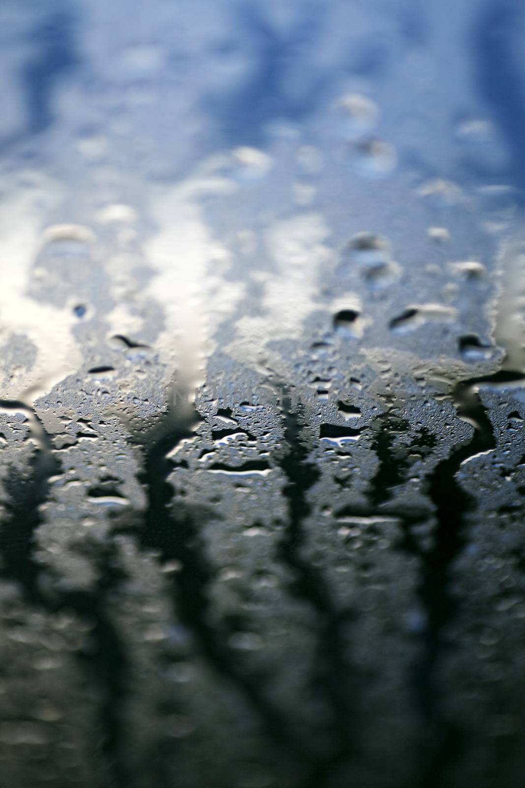Water drops colorful macro droplets on window amazing background fine art in high quality products fifty megapixels