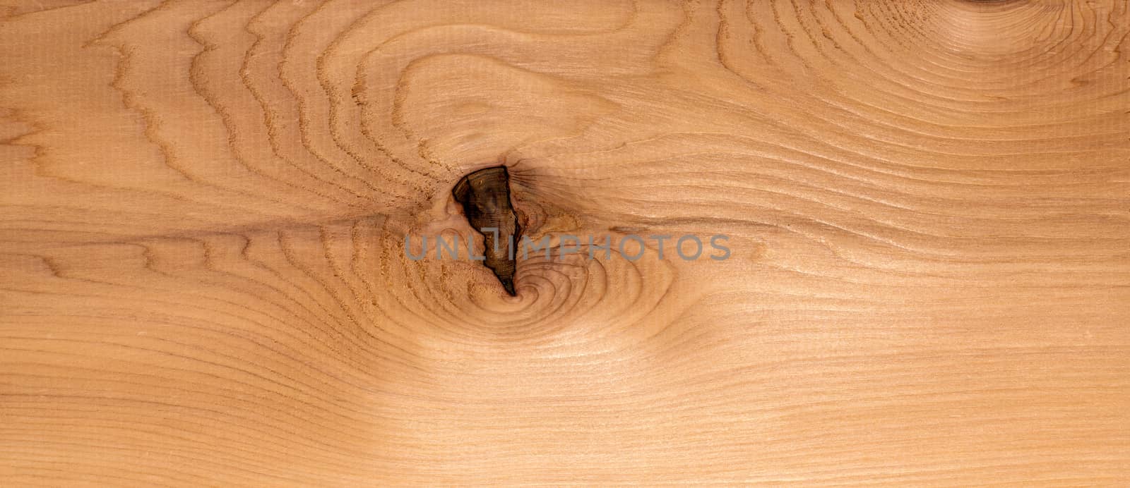 Cedar Plank Texture  by viscorp