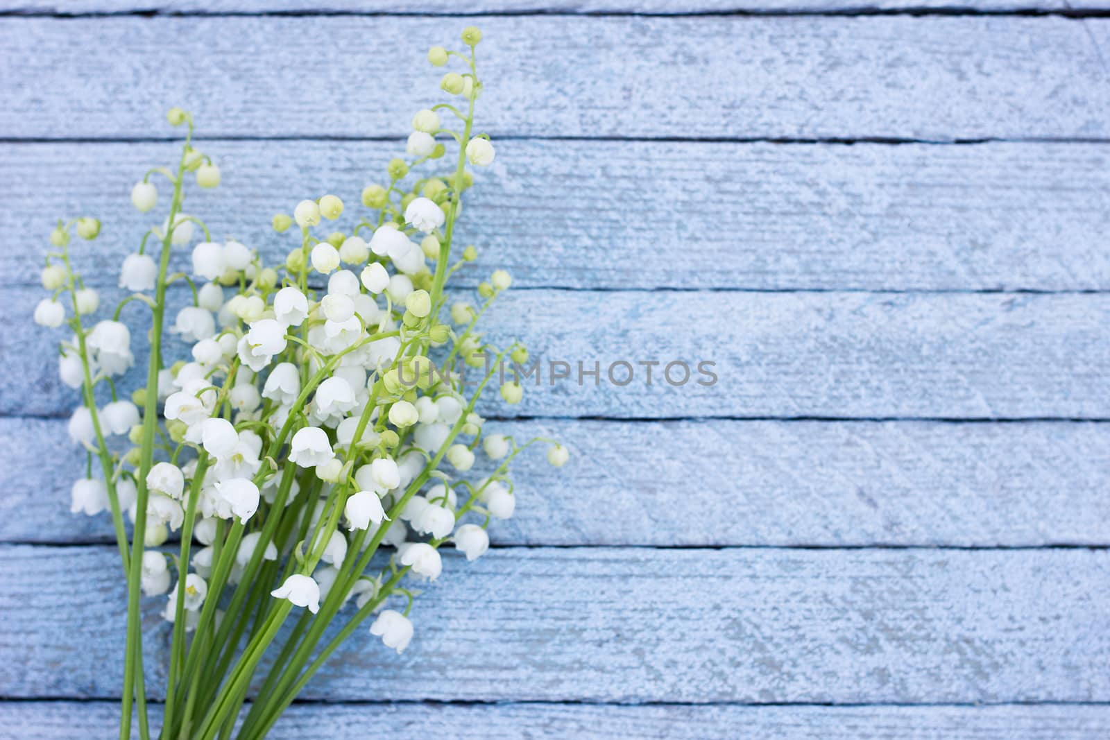 A bouquet of lily of the valley on a wooden background. Spring flowers on a blue wooden background with a place under the inscription