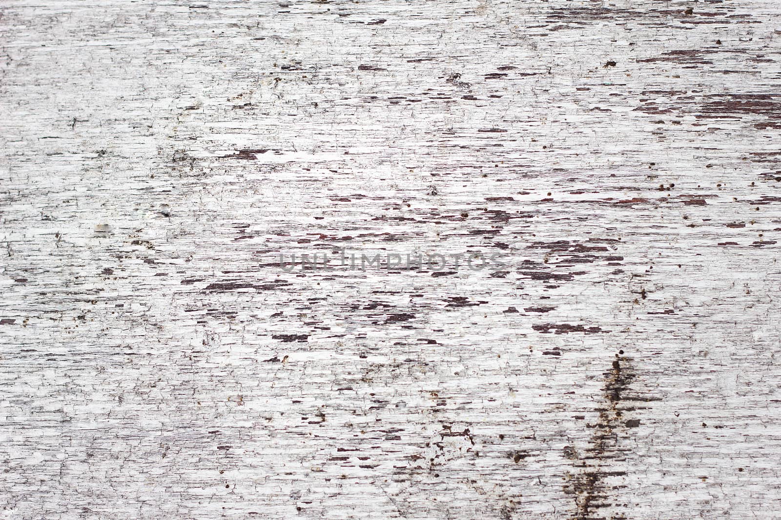 Texture shabby paint on the tree. Old white scratched wooden background. Empty wooden background