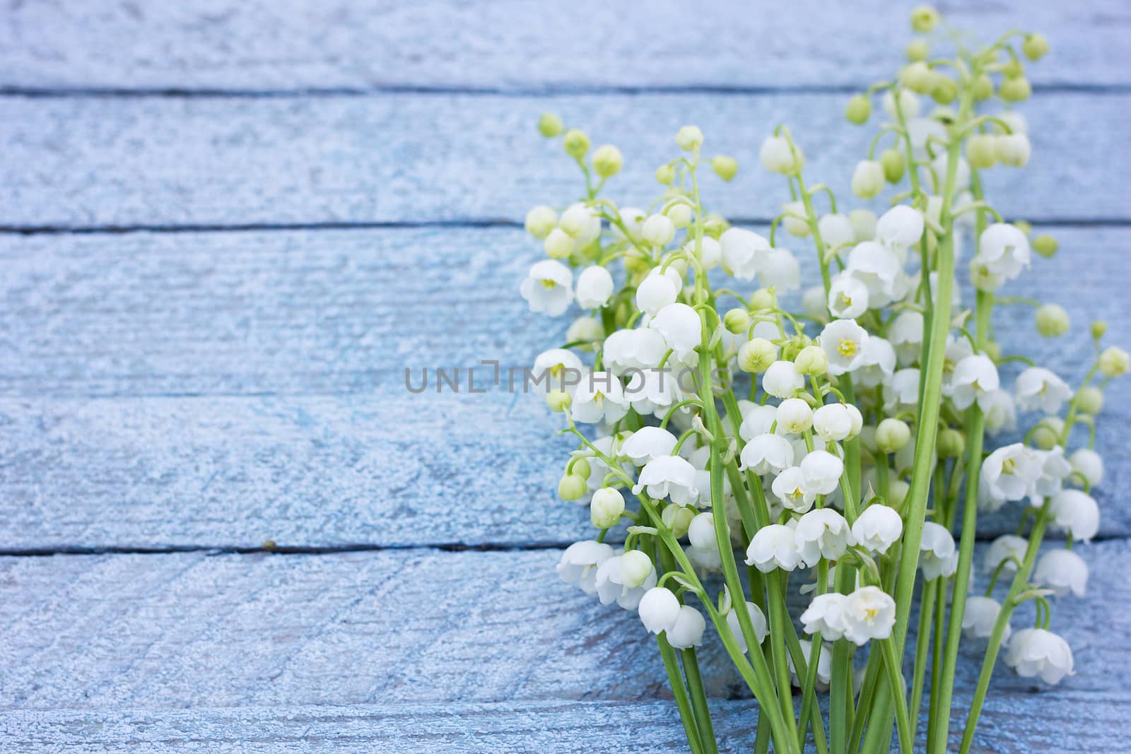 A bouquet of lily of the valley on a wooden background. Spring flowers on a blue wooden background with a place under the inscription