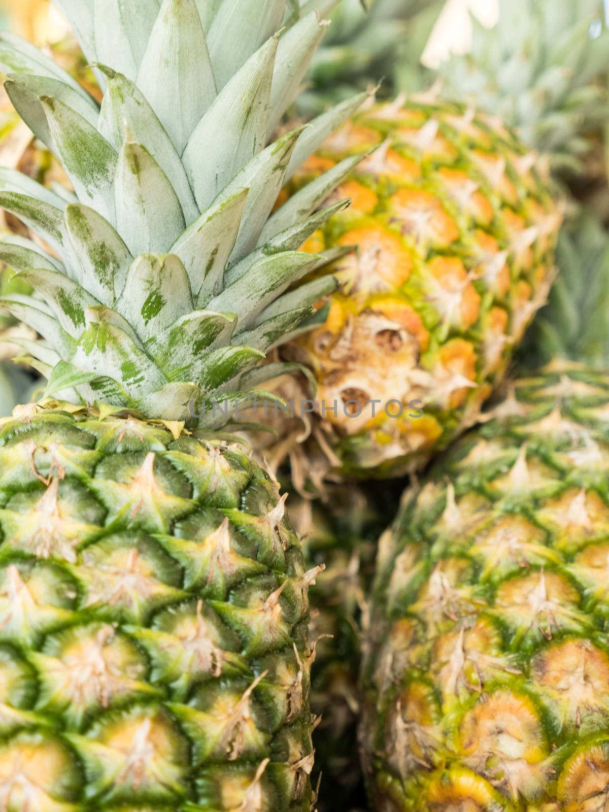 ripe sarawak's pinepaple for sale in serdang night market