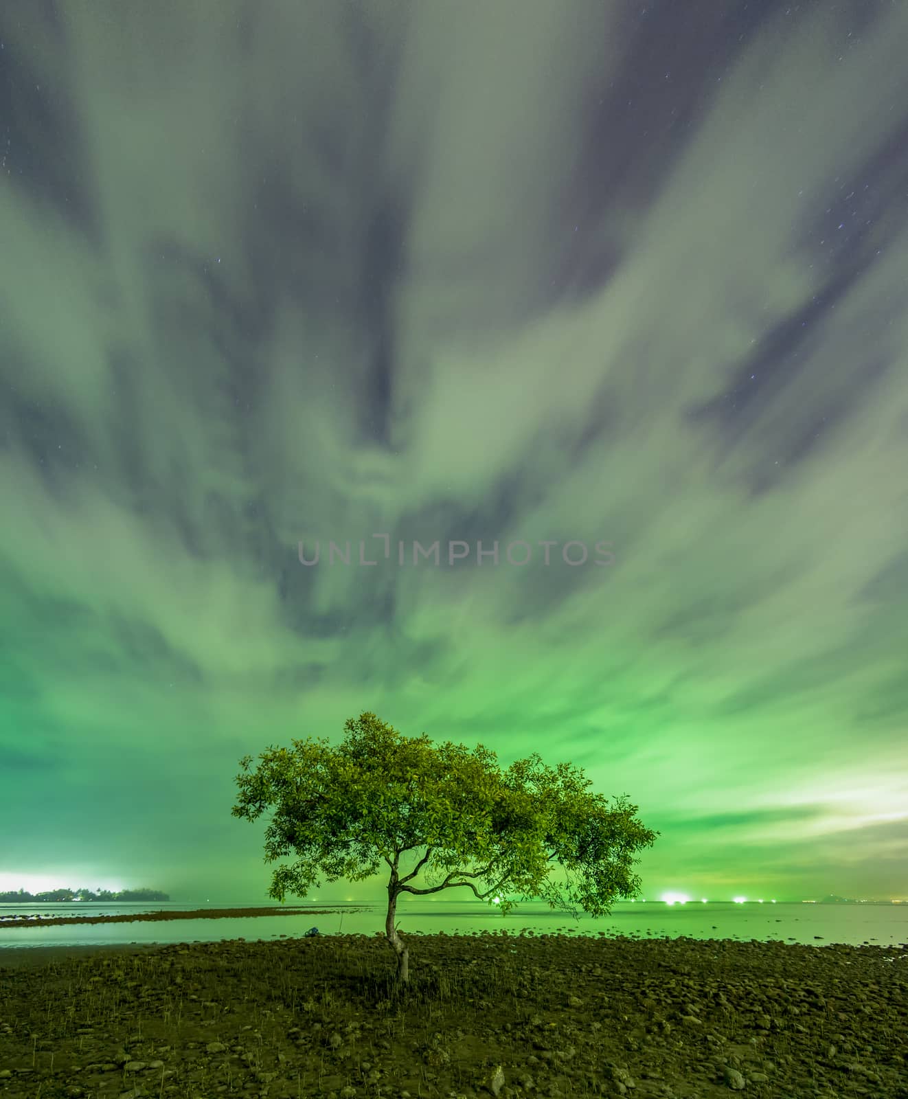 One tree at the mouth of Chumphon Beach, Chumphon Province. Motion of clouds. Along the mangrove forest will receive green light from the fishing boat.