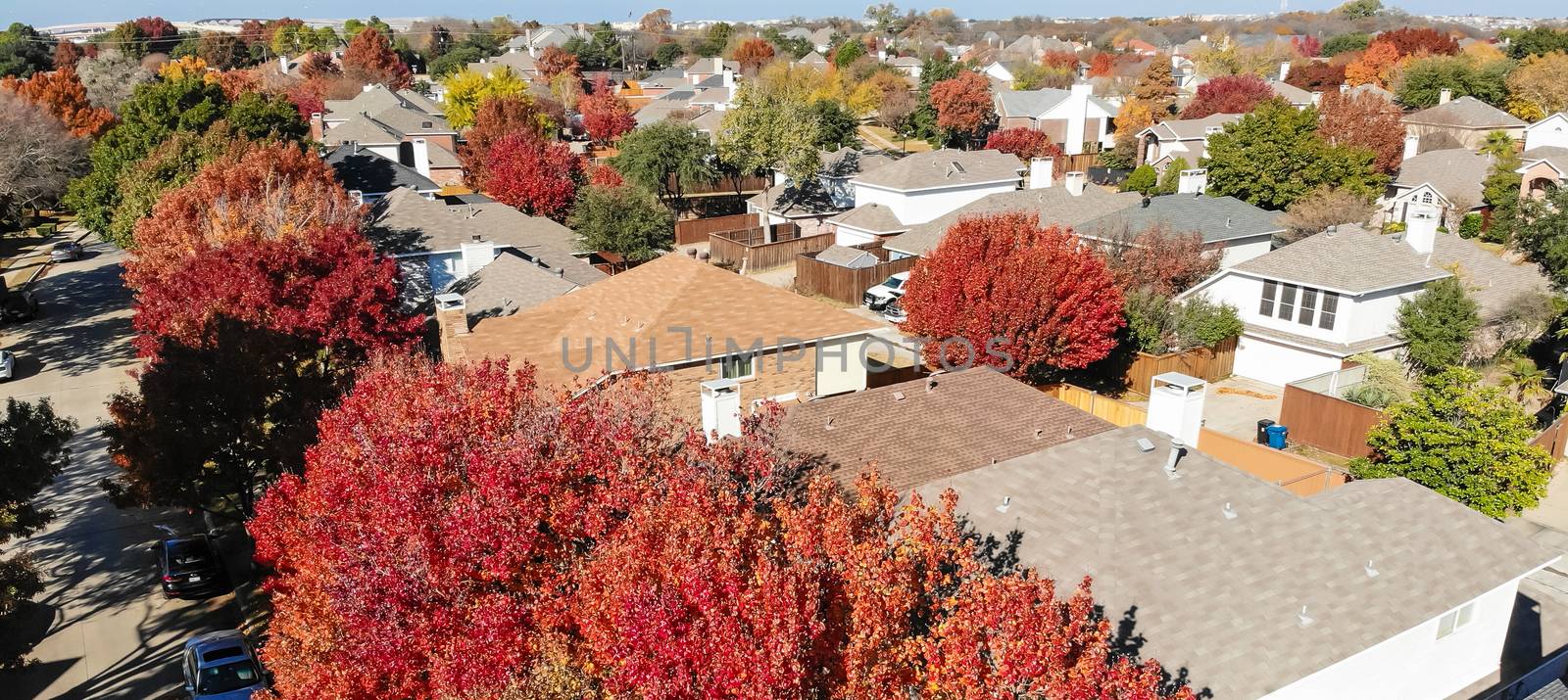 Panorama close-up aerial view roof of typical single-family house with colorful autumn leaves. Bright red tree along local drive street with sidewalk pathway