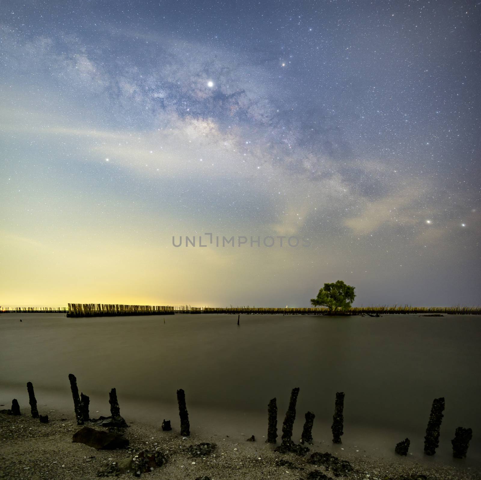 The Milky Way above a single tree and the bamboo landscape prevents the sea from breaking the coast.	

