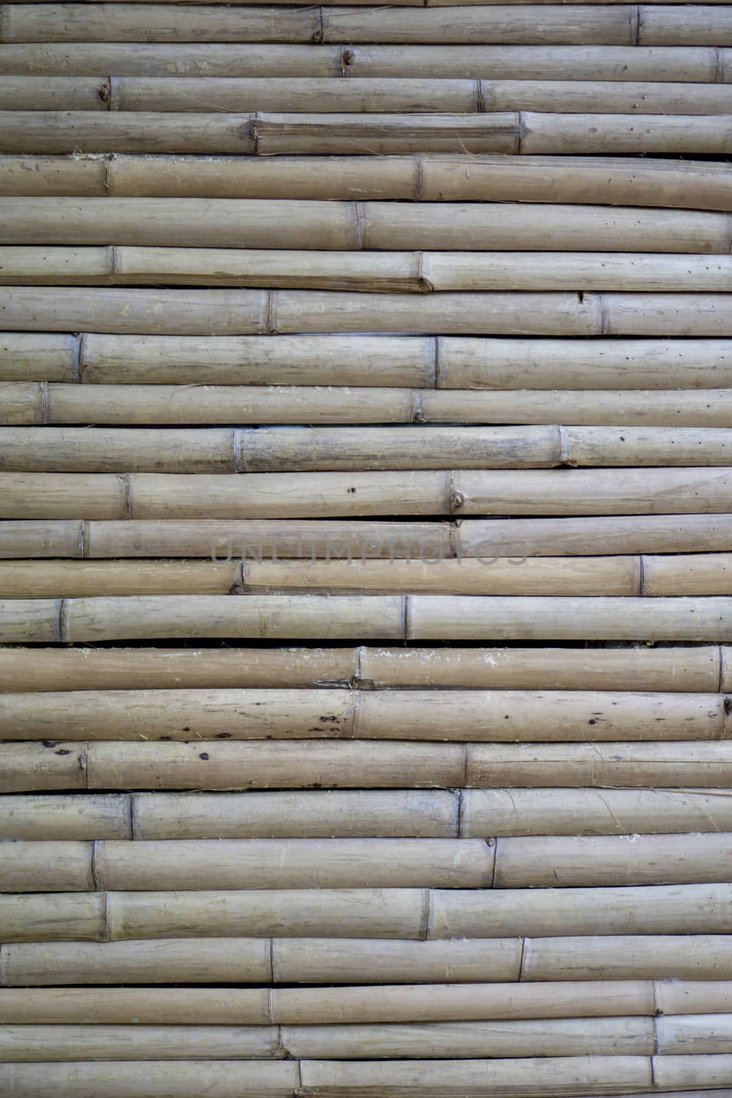 Dry bamboo wall.​ Light brown bamboo in small size, arranged horizontal​. The top surface of the bamboo litter.	

