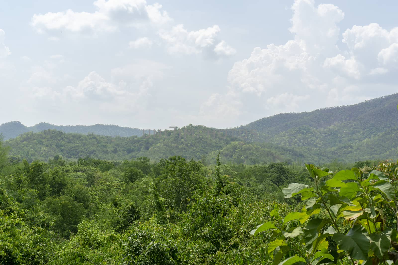 Mountain green tree.​ Blue sky with cloud	