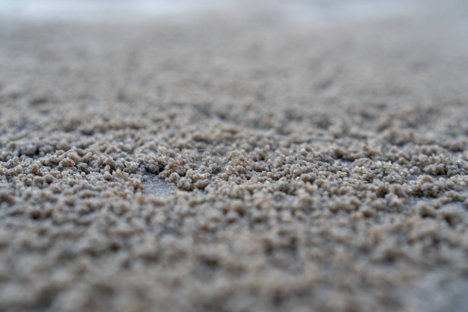 The floating groove of the habitat of Horn-eyed ghost crab or Ocypode on the white sand by the sea	