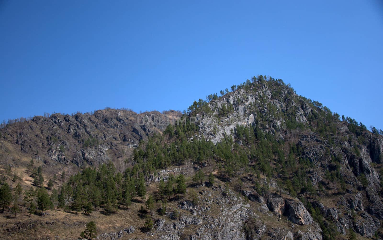 High mountain ranges with sheer cliffs, covered with rare forest. Altai, Siberia, Russia.