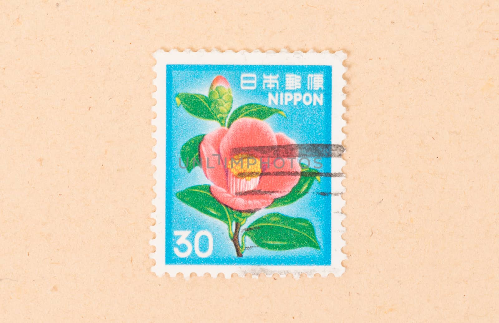 JAPAN - CIRCA 1980: A stamp printed in Japan shows a flower, circa 1980