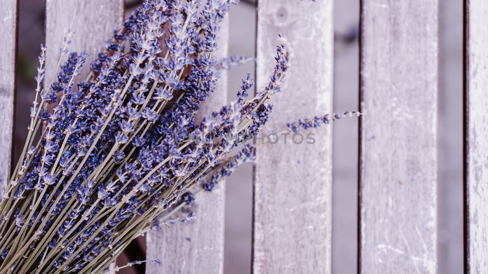Dried lavender bunches on wooden table background